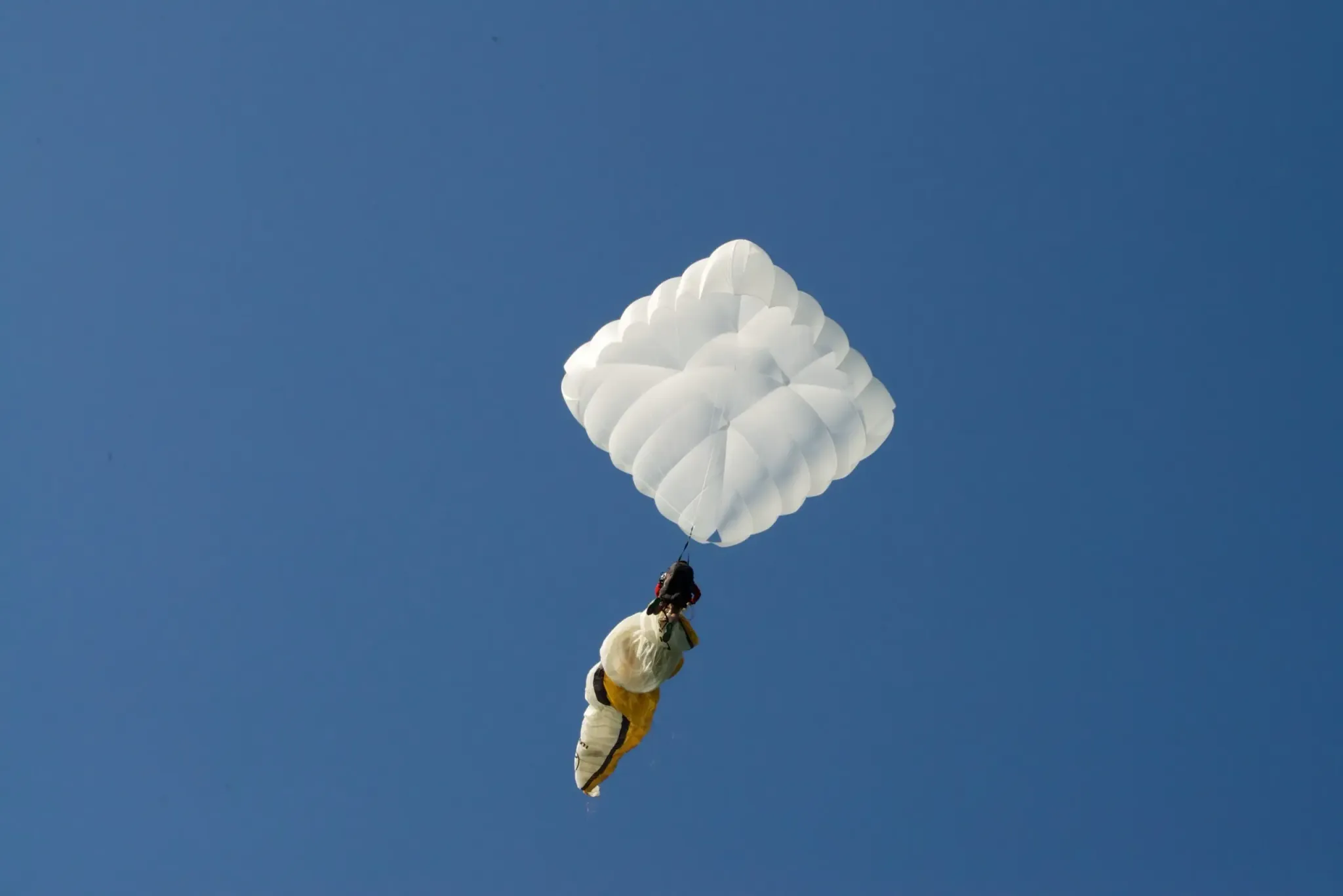 angel-sq-1.webp