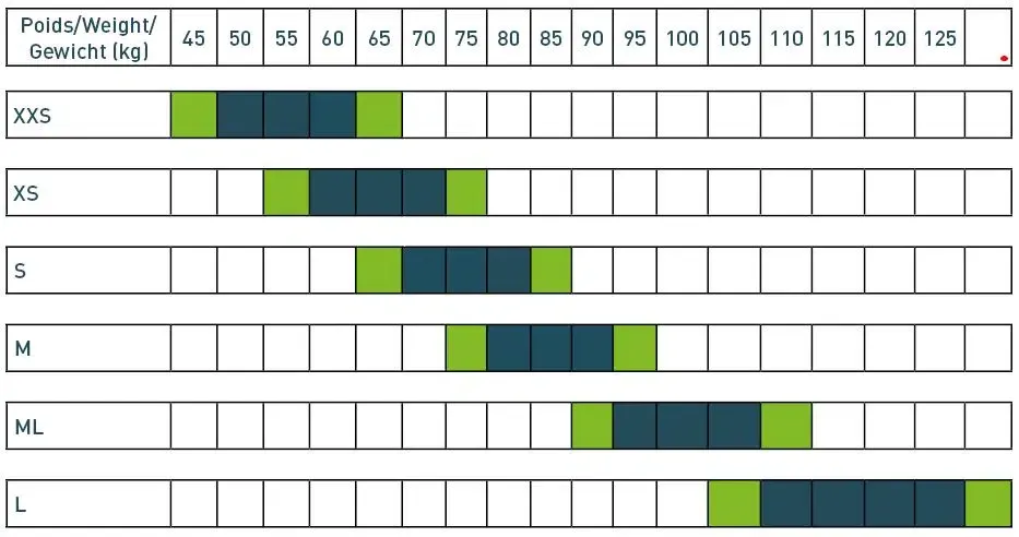 tableau-ptv-birdy2-jpg.webp